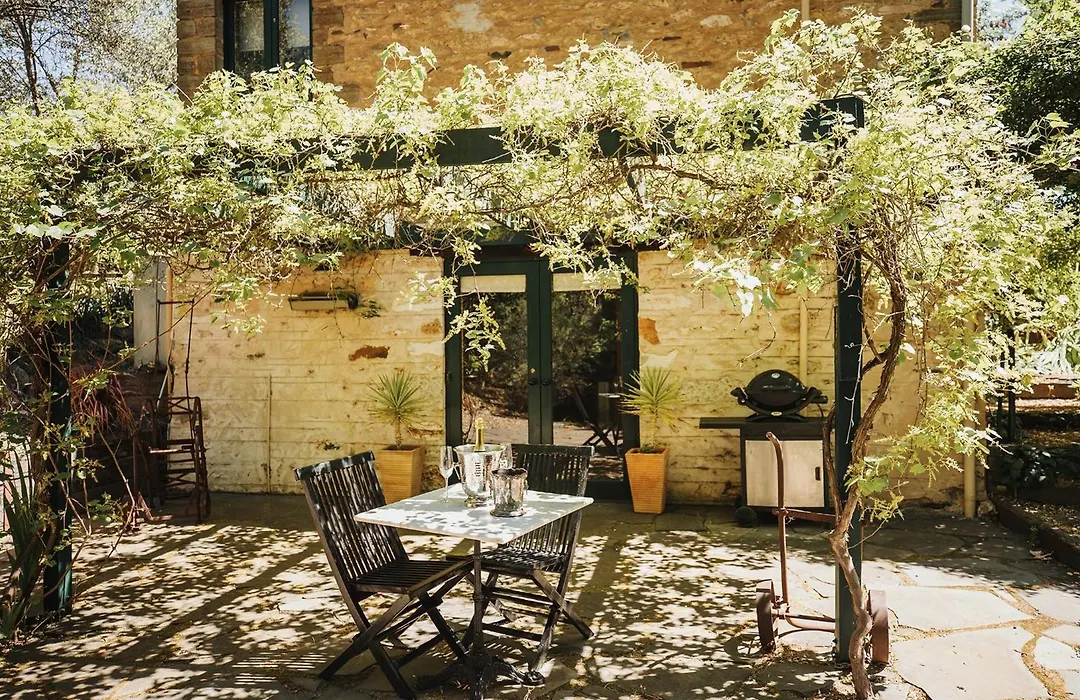 Wild Olive Cottage Clare Valley-1