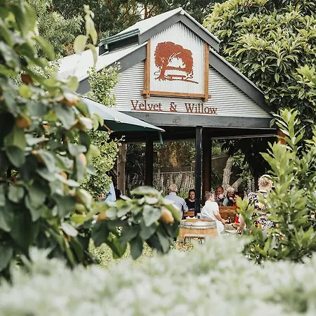 Wild Olive Cottage Clare Valley-3